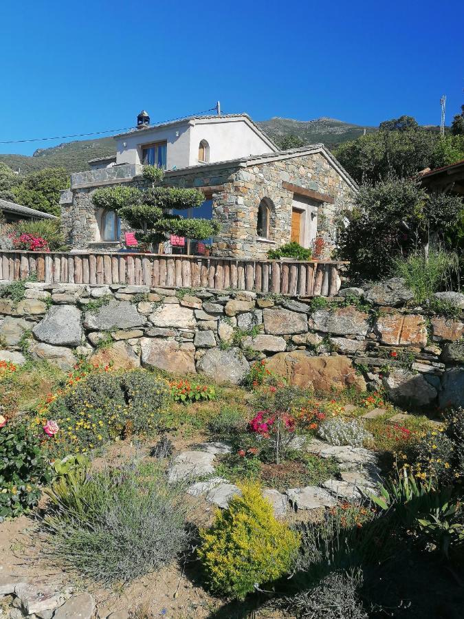 Logement De Charme Avec Piscine Privative Pino エクステリア 写真