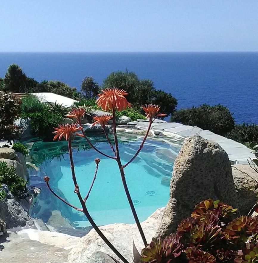 Logement De Charme Avec Piscine Privative Pino エクステリア 写真