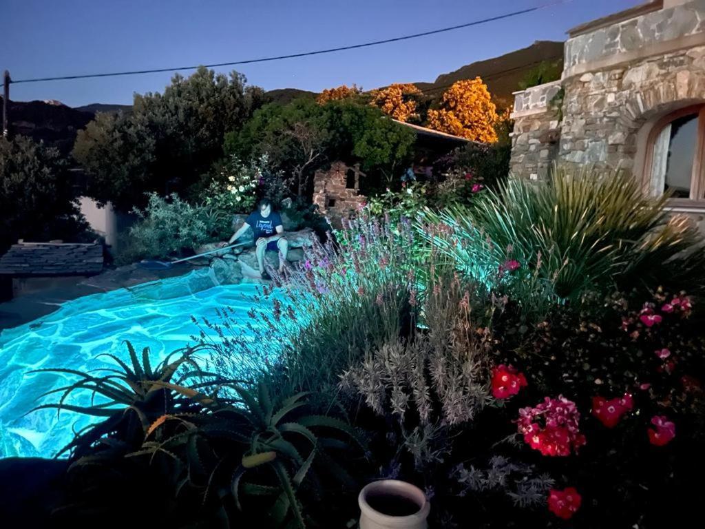 Logement De Charme Avec Piscine Privative Pino エクステリア 写真