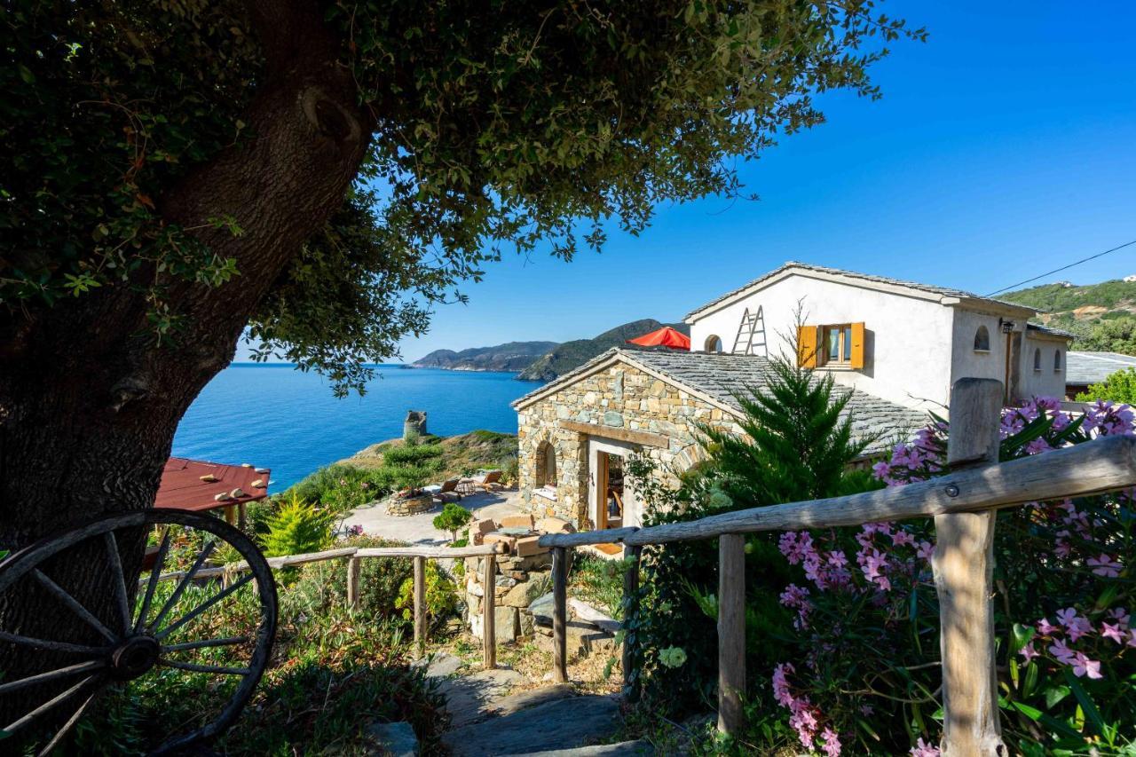 Logement De Charme Avec Piscine Privative Pino エクステリア 写真