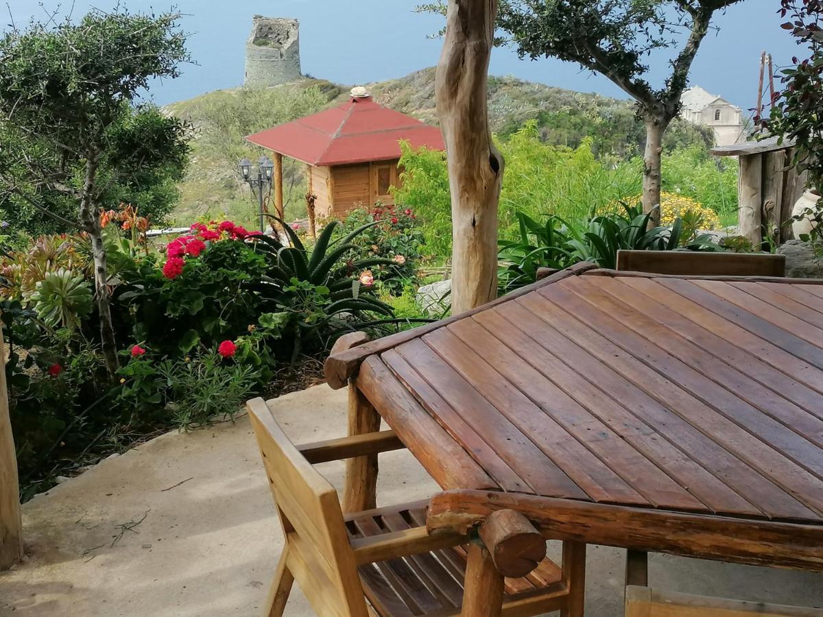 Logement De Charme Avec Piscine Privative Pino エクステリア 写真