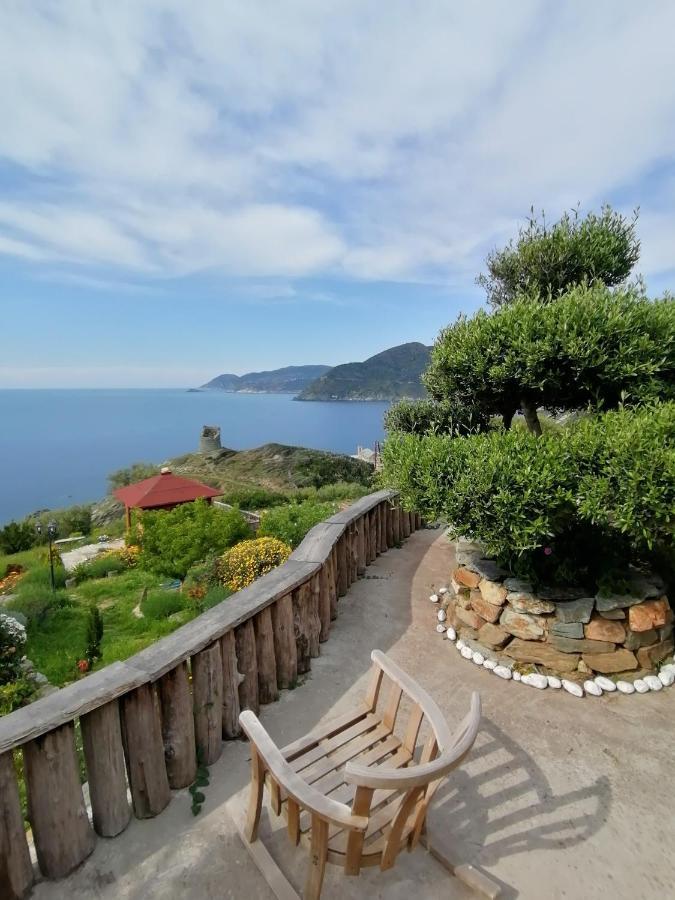 Logement De Charme Avec Piscine Privative Pino エクステリア 写真