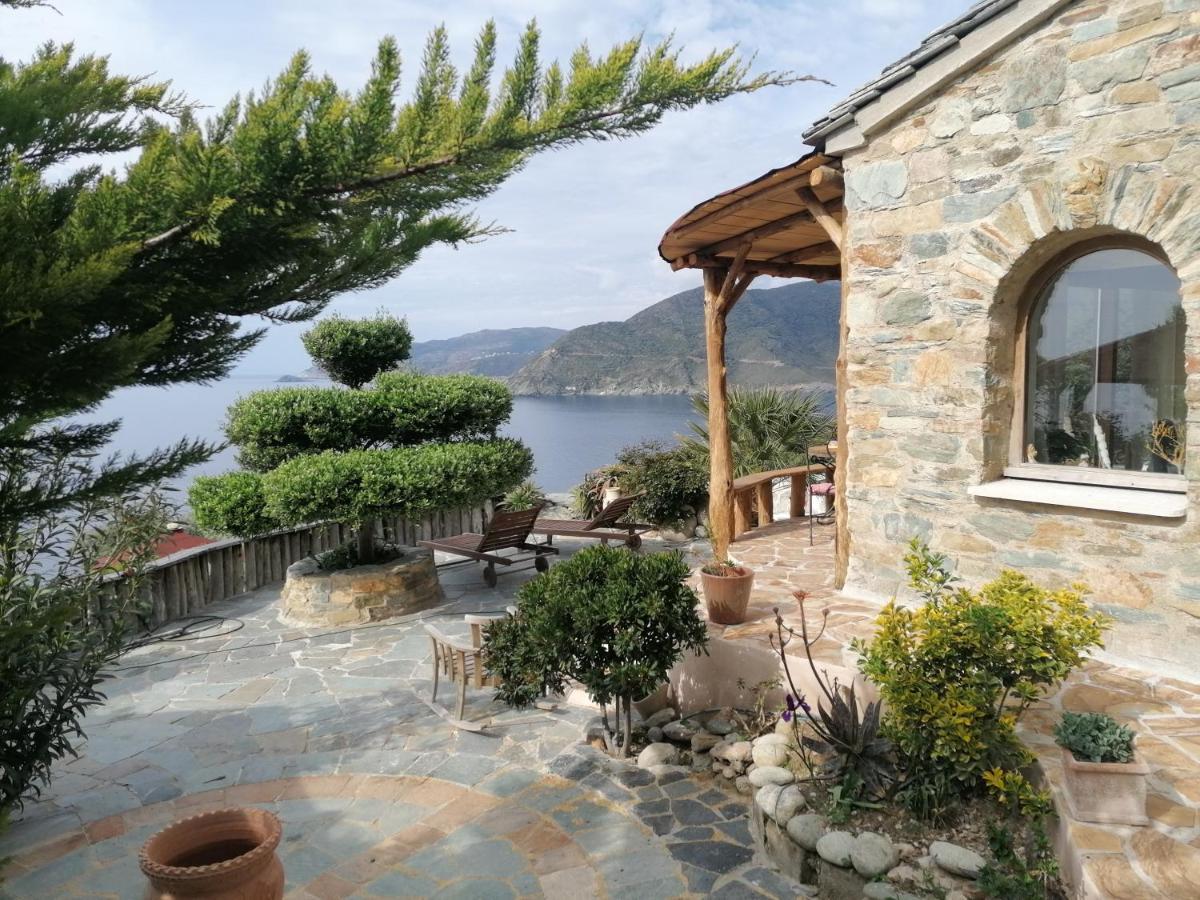 Logement De Charme Avec Piscine Privative Pino エクステリア 写真