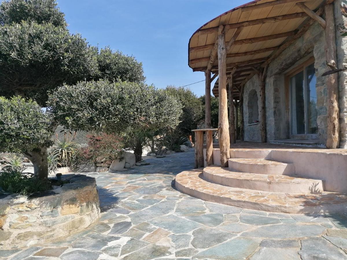Logement De Charme Avec Piscine Privative Pino エクステリア 写真