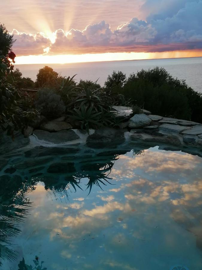 Logement De Charme Avec Piscine Privative Pino エクステリア 写真