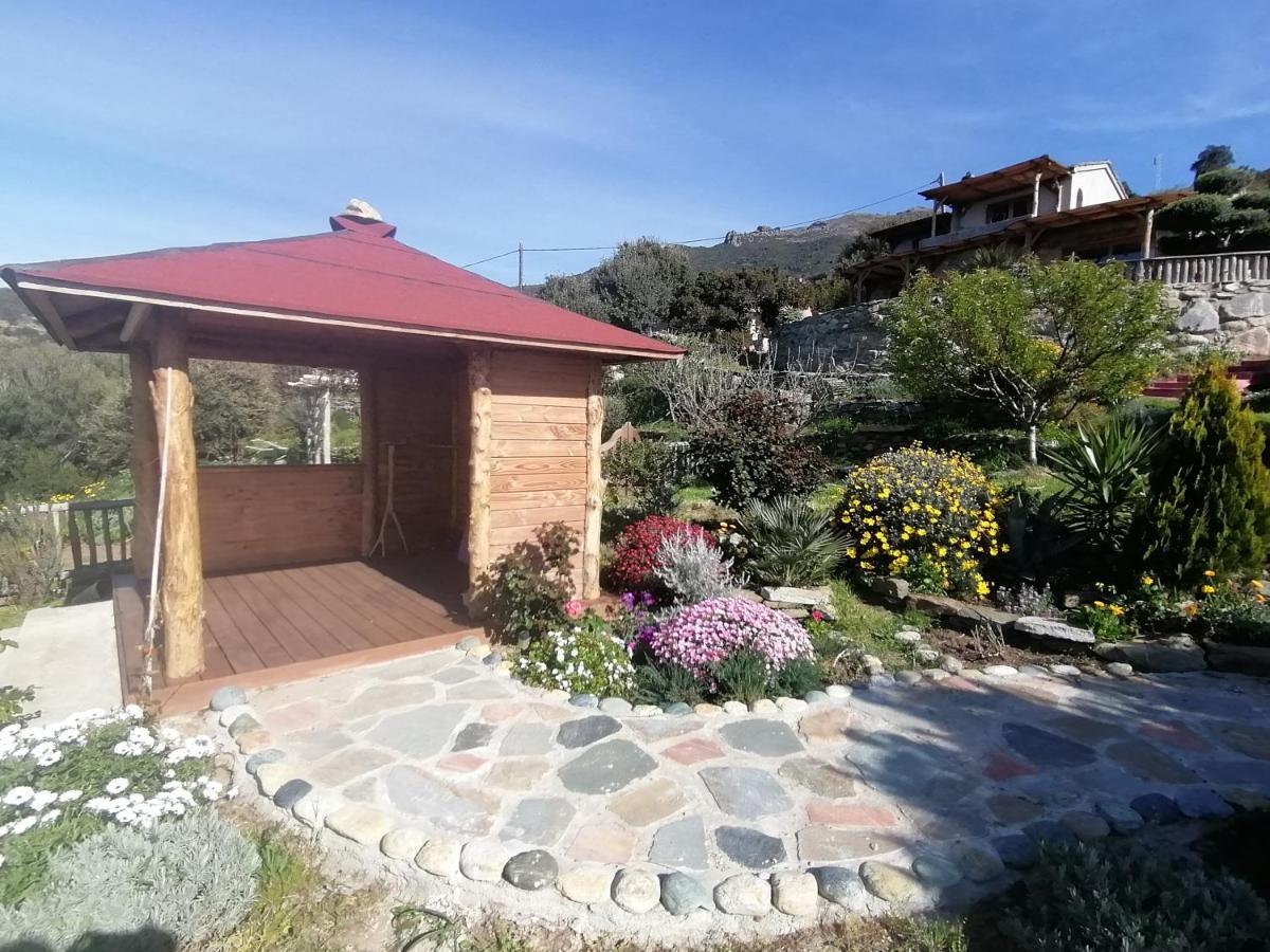 Logement De Charme Avec Piscine Privative Pino エクステリア 写真