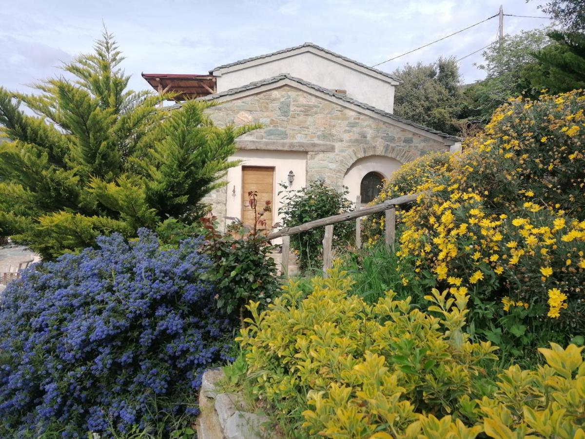 Logement De Charme Avec Piscine Privative Pino エクステリア 写真