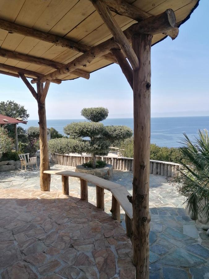 Logement De Charme Avec Piscine Privative Pino エクステリア 写真